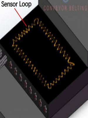 Sensor Loop